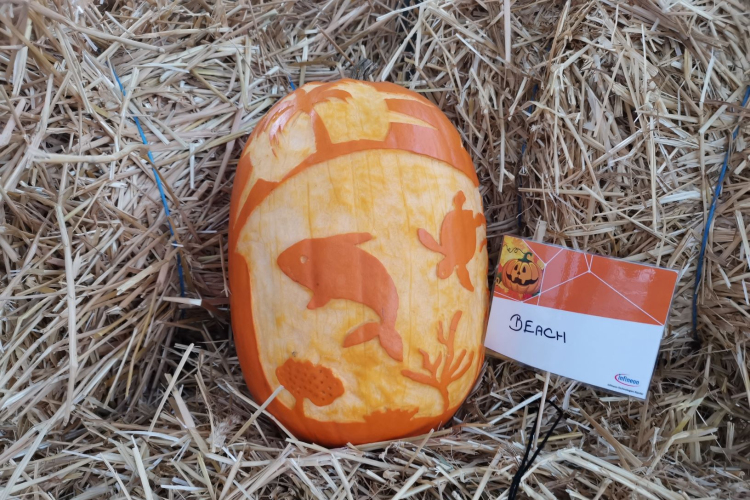 Az idén is tök jó volt…