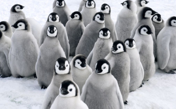 Húúú, de nagyon hideg lesz