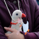 Márton napi felvonulás