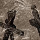 ,,Tudom e mérni a mérhetetlent’’