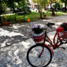 Idősek napja a Szociális Otthonban