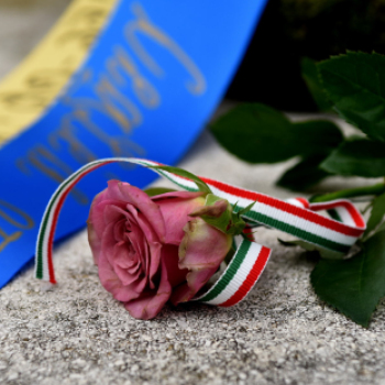 Tisztelet a bátraknak!