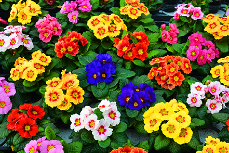 🌼 Azt hiszed korai? Pedig nem. Épp itt az ideje! 💮