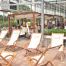 Rózsák Hétvégéje - Oázis Kertészeti Áruház