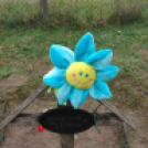 Halló Cegléd! - őszi látképek