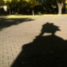 Halló Cegléd! - telefonfotók