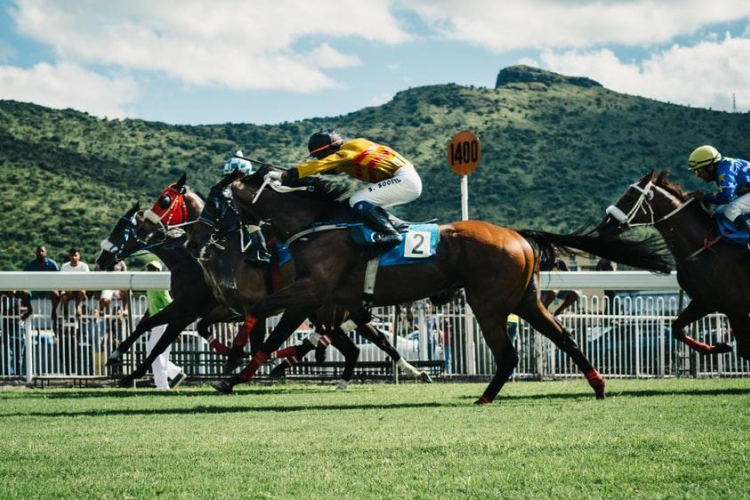 Lóverseny közvetítés a tökéletes élményért