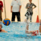 Ceglèdi Vasutas Sport Egyesület - Győri Vízisport Egyesület  15 - 9