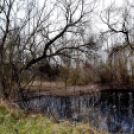 Vadak karácsonya Nyársapáton