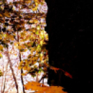 Halló Cegléd! - őszi látképek