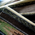 Régi ritka mesterségek Cegléden