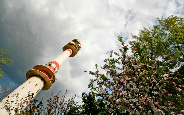 Igaz történetek Ceglédről