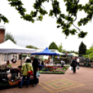 Anyák napi virágvásár és Anyám tyúkja főzőverseny