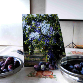 Csemői kerekasztal beszélgetés a szilváról