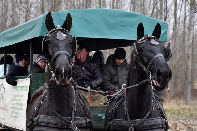 Vadak karácsonya Nyársapáton