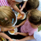 Csibenap a Várkonyiban