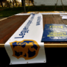 Megyei futó- és gyalogló nap