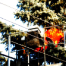 A város karácsonyfája