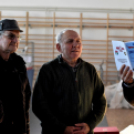 Galambkiállítás Cegléden