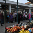 Márton napi felvonulás a Táncsicsban