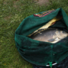 Éhmann Ferenc Emlék Kupa