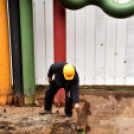 Lekerült az ötkarika sportcsarnokról