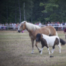 A lovak nyelvén – Hamza Viktória