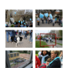 Ez történt Cegléden 2014-ben