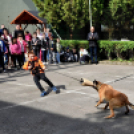 RENDŐRSÉGI NYÍLT NAP