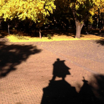 Halló Cegléd! - telefonfotók