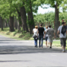 Városi Nyitott Pince Napok 2013