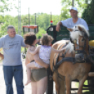 Városi Nyitott Pince Napok 2013