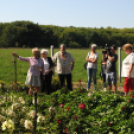 Színpompás bemutató