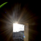 Rákóczi úti épületbontás I.