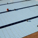 Városi Strandfürdő - Labda a medencében