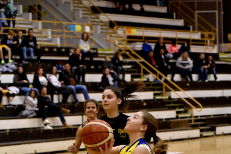 Jótékonysági Sport Nap