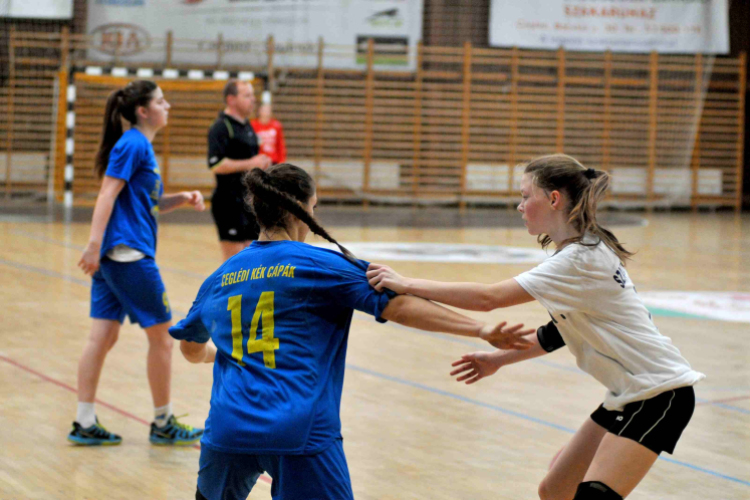 Ceglédi Kék Cápák - Szigetszentmiklós NKSE 41 - 27 (21 - 14)