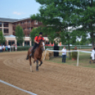 Bor és laskafesztivál - II