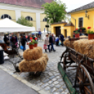 Régi idők piactere - VÁROSNAPOK