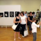 Születésnapi kiállítás a Kossuth Múzeumban