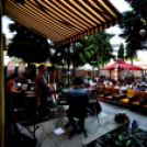 Sára Héléne koncert