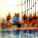 Ceglédi Vasutas Sport Egyesület - HVSC (Hódmezővásárhely) 11 - 6