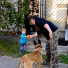 Nyílt nap a ceglédi rendőrségen