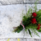 Hősök napja Cegléden