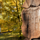 Koszorúzással kezdődött az október 23-ai megemlékezés