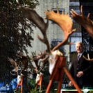 Ünnepeltek a vadászok