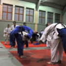 A judo világnapja
