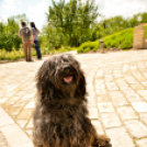 Nyitott Pince Napok - Kökény és Fia Családi Borászat