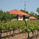 Nyitott Pince Napok - Kökény és Fia Családi Borászat