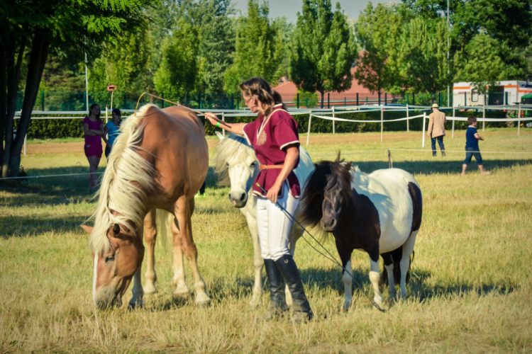 II. Ceglédi Vágta - kísérő rendezvények